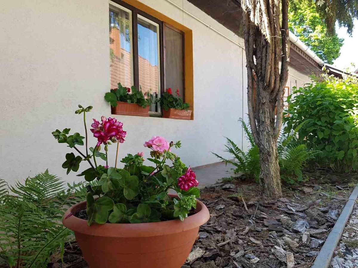 Kuti Vendeghaz Hotel Bakonykuti Exterior foto