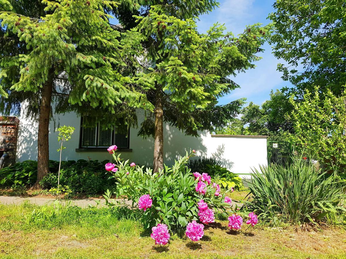 Kuti Vendeghaz Hotel Bakonykuti Exterior foto